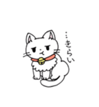 もふもふねこのシロさん（個別スタンプ：22）