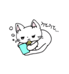 もふもふねこのシロさん（個別スタンプ：28）