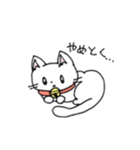 もふもふねこのシロさん（個別スタンプ：30）