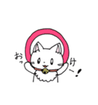 もふもふねこのシロさん（個別スタンプ：31）