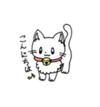 もふもふねこのシロさん（個別スタンプ：35）