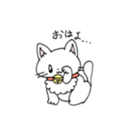 もふもふねこのシロさん（個別スタンプ：38）