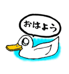 白アヒルのピピちゃん（個別スタンプ：2）
