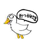 白アヒルのピピちゃん（個別スタンプ：19）