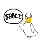 白アヒルのピピちゃん（個別スタンプ：21）