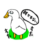 白アヒルのピピちゃん（個別スタンプ：23）