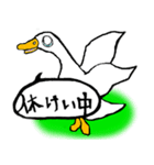 白アヒルのピピちゃん（個別スタンプ：24）