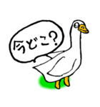 白アヒルのピピちゃん（個別スタンプ：29）