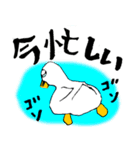 白アヒルのピピちゃん（個別スタンプ：31）