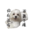 Mini＆Mico（個別スタンプ：6）