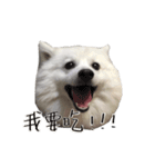Mini＆Mico（個別スタンプ：13）