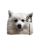 Mini＆Mico（個別スタンプ：26）