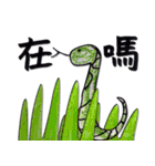 Hans's Encyclopedia of Animals（個別スタンプ：17）