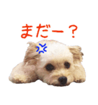 エルモとシリ（個別スタンプ：7）