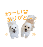 エルモとシリ（個別スタンプ：13）