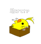 ひよこの卵黄第二段（個別スタンプ：36）