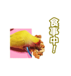 コザクラインコのピヨちゃん（個別スタンプ：33）