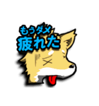 いかよろ！（個別スタンプ：29）