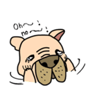 Little pig dog_ French Bulldog's daily（個別スタンプ：1）