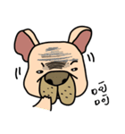 Little pig dog_ French Bulldog's daily（個別スタンプ：2）