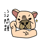 Little pig dog_ French Bulldog's daily（個別スタンプ：3）