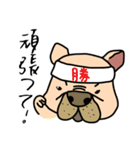 Little pig dog_ French Bulldog's daily（個別スタンプ：10）