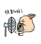 Little pig dog_ French Bulldog's daily（個別スタンプ：12）