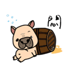 Little pig dog_ French Bulldog's daily（個別スタンプ：14）