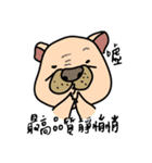 Little pig dog_ French Bulldog's daily（個別スタンプ：15）