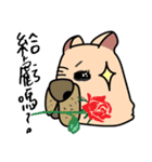 Little pig dog_ French Bulldog's daily（個別スタンプ：16）