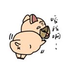 Little pig dog_ French Bulldog's daily（個別スタンプ：19）