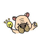 Little pig dog_ French Bulldog's daily（個別スタンプ：20）