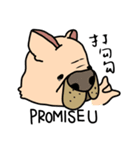 Little pig dog_ French Bulldog's daily（個別スタンプ：21）