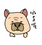 Little pig dog_ French Bulldog's daily（個別スタンプ：23）