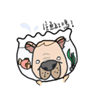 Little pig dog_ French Bulldog's daily（個別スタンプ：28）