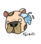 Little pig dog_ French Bulldog's daily（個別スタンプ：30）