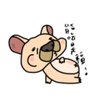 Little pig dog_ French Bulldog's daily（個別スタンプ：31）