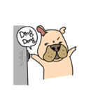 Little pig dog_ French Bulldog's daily（個別スタンプ：33）