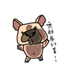 Little pig dog_ French Bulldog's daily（個別スタンプ：36）