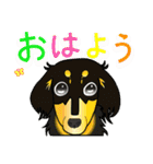 神犬 ガブちゃん（個別スタンプ：10）