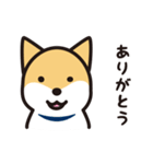 柴犬たちの日常（個別スタンプ：2）