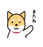 柴犬たちの日常（個別スタンプ：3）