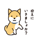 柴犬たちの日常（個別スタンプ：10）