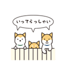 柴犬たちの日常（個別スタンプ：11）