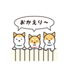 柴犬たちの日常（個別スタンプ：12）