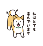 柴犬たちの日常（個別スタンプ：13）