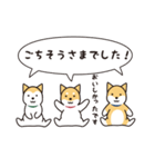 柴犬たちの日常（個別スタンプ：16）