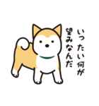 柴犬たちの日常（個別スタンプ：22）