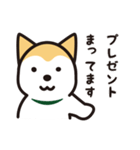 柴犬たちの日常（個別スタンプ：25）