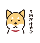 柴犬たちの日常（個別スタンプ：28）